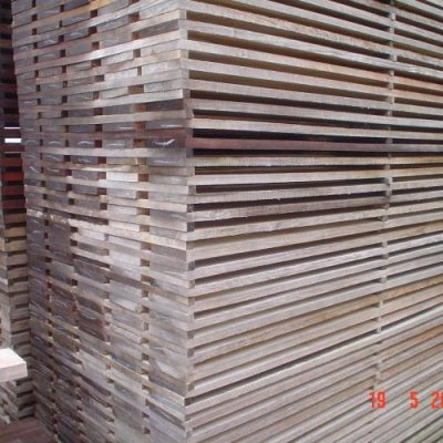 principal5-1-500x500